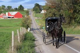 Amish Country Tour & Market 24