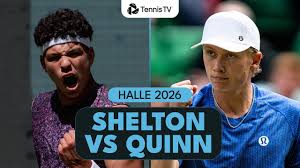Trend Google: taylor fritz