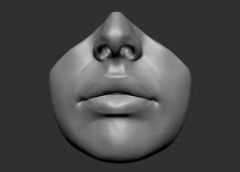 3d Beaty Lips Model Zbrush Anatomy Zbrush Anatomy Sculpture