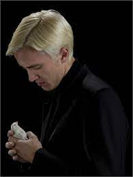 Ropa, calzado y accesorios directos de fabrica! Der Halbblutprinz Draco Malfoy Mit Vogel Poster Online Bestellen Posterlounge De