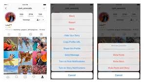 Mettre à niveau son compte avec franceconnect. Instagram Permet Desormais De Mettre En Sourdine Certains Comptes Geeko