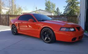 566 likes · 75 talking about this. Terminator 03 04 Cobra Home Facebook