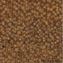 Image result for Uapaca guineensis