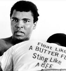 Robert Messerly (@robmesserly31)