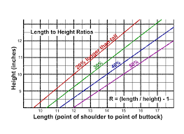 measuring the lhasa apso