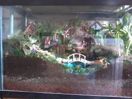 My Fish Tank Fairy Garden Fairy Garden Diy Fairy Garden Designs Fish Tank Terrarium