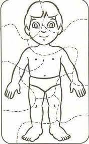 Resultado De Imagen Para Rompecabezas Del Cuerpo Humano Para Ninos De 6 Piezas Puzzle Body Lessons For Kids