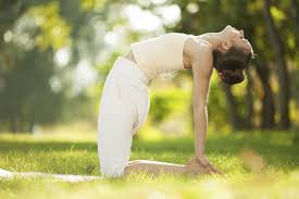Transform your body at pure barre on pelham road in greenville, south carolina and feel the burn with isolated movements, targeting muscles in your arms, legs,…. Where To Enjoy Yoga In The Hills Inn And Spa At Cedar Falls