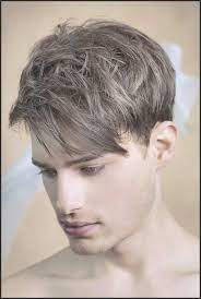 Mannerfrisuren Kurz Dunkelblond Frisuren Trends Kurzhaarfrisuren Mens Hairstyles Haircuts For Men Boys Haircuts