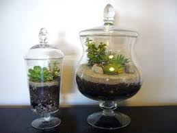Pin By Jordi Ros On Diy Terrarium Mini Garden Ecosystems