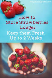 How To Keep Strawberries From Molding How To Store Strawberries Strawberry How To Clean Strawberries