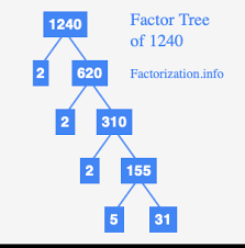 It is best to start working from the smallest prime number, which is 2, so let's check Prime Factors Of 1240