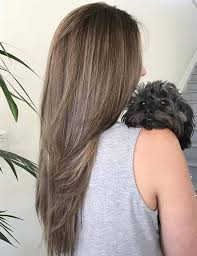 And, if you're looking for a new way to rock lighter locks, you'll be glad to know that this hair colour is shaping up to be 2021's. Top 25 Light Ash Blonde Highlights Hair Color Ideas For Blonde And Brown Hair
