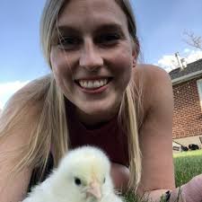 MOUNTAIN WEST VETERINARY SPECIALISTS