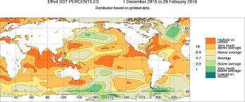 This Summers Sea Temperatures Were The Hottest On Record