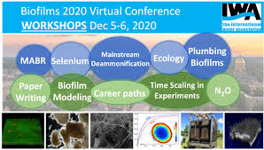 And take signature of staff member on index page of lab manual. P Perez Calleja On Twitter Still Time To Register For Iwa Biofilm 2020 Free Pre Conference Workshops On Mabrs Plumbing Biofilms Modeling N2o Paper Writing And More See Https T Co Flpvneramj Only Us 30 For Students And
