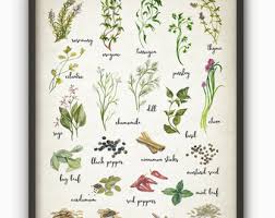 .kitchen, rustic wall decor kohls, rustic wall decor uk, rustic key wall decor, rustic kitchen wall decor signs, rustic kitchen wall decor for sale, rustic rustic wall decor ideas to turn shabby into fabulous. Herbs And Spices Watercolor Kitchen Wall Art Poster Rustic Kitchen Print Cooking Art Print Kitchen Wall Decor Gift Idea For Her Picture Frames Baby Ourvagabondstories Com
