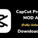 But in capcut mod apk, the watermark on the video is removed, which means that the app name of the app on your video will not be shown anymore. Capcut Mod Apk No Watermark Free Download Archives Apkmodapps