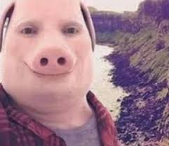 John Pork