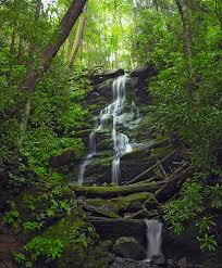 With options to book now and pay when you stay, you have peace of mind. Percorso Della Biodiversita Nel Parco Giogo Casaglia Un Itinerario Naturalistico Con 17 Tappe Tematiche Nel Territorio Di Palazzuolo Sul Senio Locanda Senio