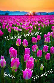 Spruche Guten Morgen Schone Guten Morgen Spruche Guten Morgen Bilder Weihnachten