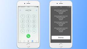 7 Iphone Secret Codes Apple Didn T Tell You About 7 Iphone Secret Codes Apple Didn T Tell You About Iphone Secrets Iphone Secret Codes Iphone Codes