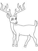 The simpler outline images might be better for toddlers just starting to discover the wonderful world of art. Deer Coloring Pages