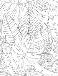It's a meditative indoor activity. Tropical Leaves Coloring Page Audrey Chenal Line Art Drawings Tropical Painting Leaf Drawing