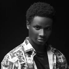 Upcoming Henry Danger Movie