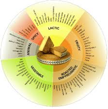 Cheese Flavor Wheel In 2019 Comte Cheese Queso Cheese