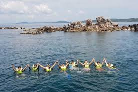 Dealscove promise you'll get the best. Aquatopia Promo Code
