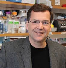 UMMS scientists receive $1.6M in NIH funding to improve genome editing  techniques