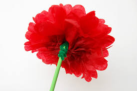 We did not find results for: Tissue Paper Pom Pom Flowers Kids Crafts Fun Craft Ideas Firstpalette Com