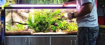 1 gallon of saltwater at 1.025 equals 8.54 lbs. How To Setup Your New Freshwater Aquarium Step By Step