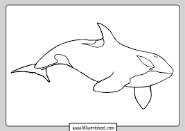 Killer whale coloring page coloring page. Pin On Animal Coloring Pages