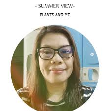 New players join Premier Volleyball League lineup