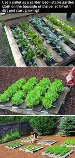Diy Pallet Garden How To Build A Raised Vegetable Garden Bed 39 Simple Che Vertical Vegetable Gardens Vegetable Garden Beds Vegetable Garden Raised Beds