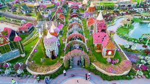 Dubai miracle garden now has 250 million flowers, with 70 different types, and 50 million plants to make up each of structures and buildings. Dubai Miracle Garden Journey Through A Floral Wonderland In Dubai