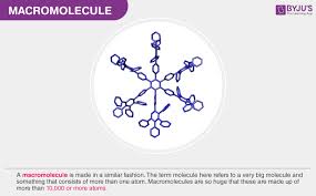 macromolecules types and examples of macromolecules