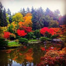 Seattle Japanese Garden In Washington Park Arboretum Seattle Japanese Garden Washington Park Japanese Garden