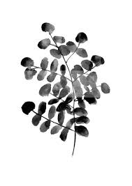 Pin On Wedding Invitation