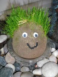 Ylah diy chia pet t(w)een kit. A Chia Pet Diy Adventure Guerrilla Garden Adventures