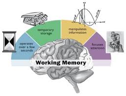 Dyslexia And Working Memory Go Hand In Hand How To Help Students Remember More Working Memory Brain Based Learning Executive Functioning