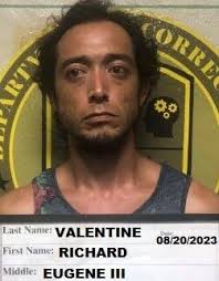 Man allegedly pulls phone cord from wall, faces felony charge