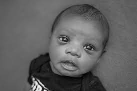 Stephanie Pollard Photography