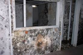 Given the way mold impacts air quality, you may be thinking: How To Detect Household Mold