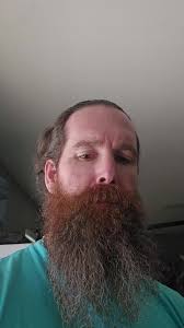 Delicious Potato Recipes to Try