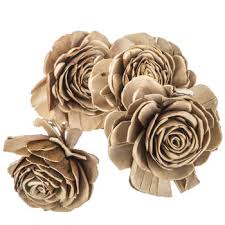 Maybe you would like to learn more about one of these? Natural Sola Beauty Rose Stems Hobby Lobby 1324649