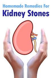 homemade remes for kidney stones