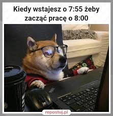 We did not find results for: Memy O Pracy Zdalnej W Czasach Koronawirusa Zobacz Najsmieszniejsze Obrazki O Pracy W Domu 27 01 2021 Glos Pomorza